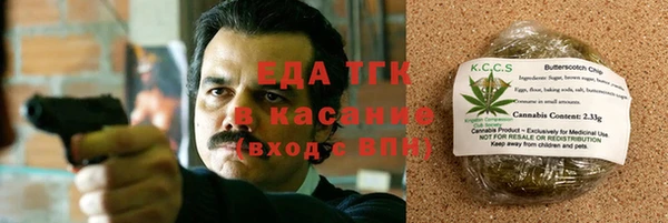 стаф Новокубанск