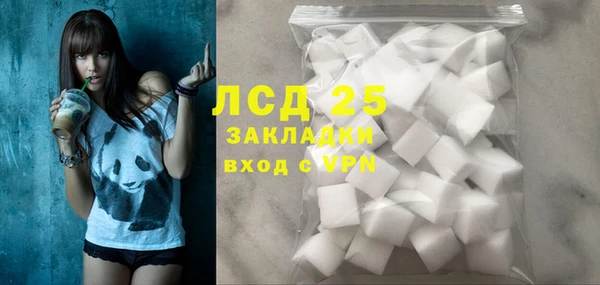 стаф Новокубанск