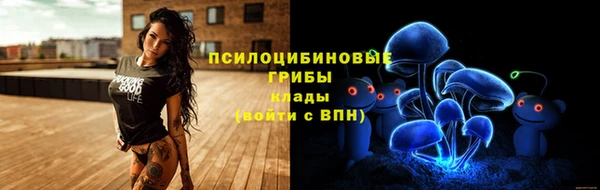 МДПВ Бикин