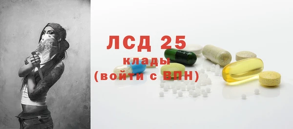 спайс Новодвинск