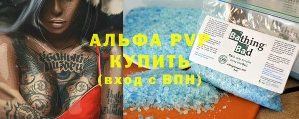 стаф Новокубанск