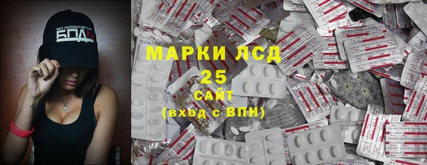 стаф Новокубанск