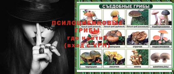 спайс Новодвинск