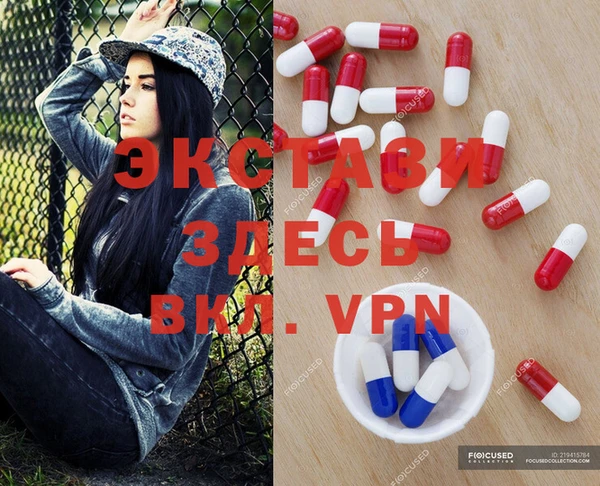 стаф Новокубанск