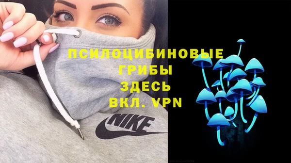 стаф Новокубанск