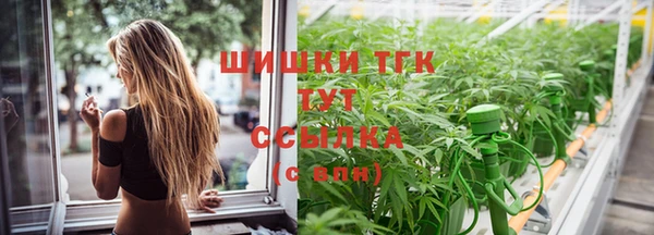 спайс Новодвинск