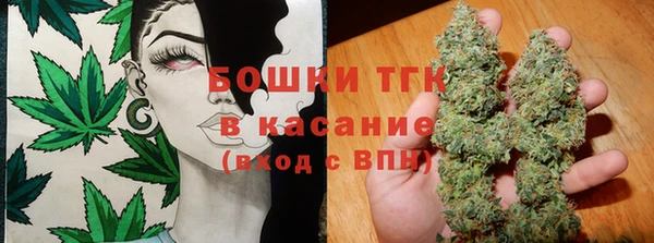 стаф Новокубанск