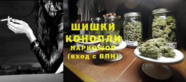 стаф Новокубанск