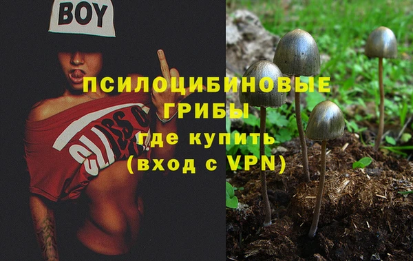 спайс Новодвинск